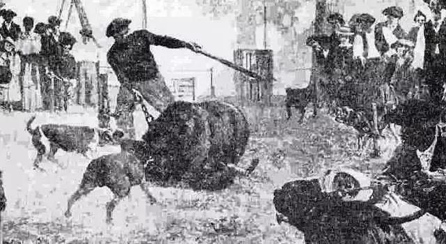 危险分子猛犬暴徒—加纳利，请你低调