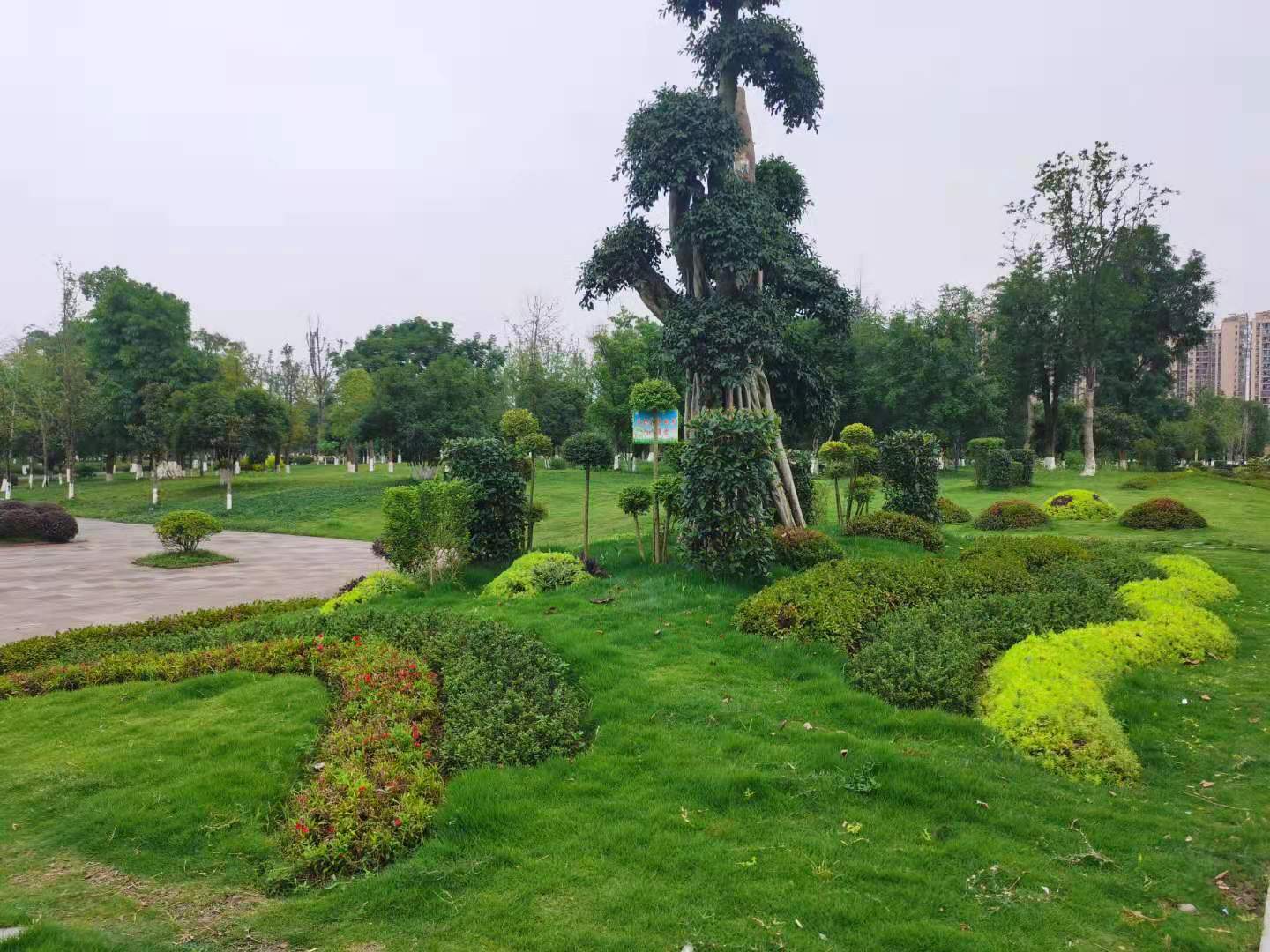 离蔡家的龙湖商业最近的这个小区怎么样？柠檬谈小区之北城未来