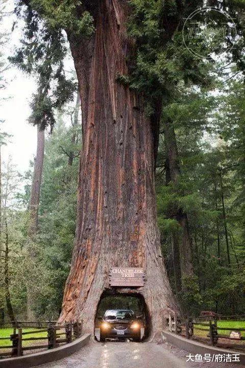 50张世界级照片赶快来看,壮观40张顶级照片