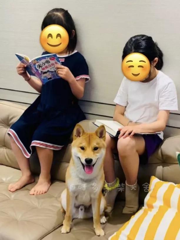 新手养狗不要被欺骗,新手养犬十大误区