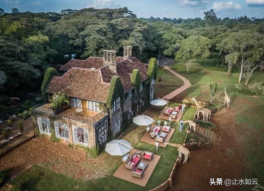 吃长颈鹿治艾滋病?为保护谣言下的生命他们建了家世界唯一的酒店