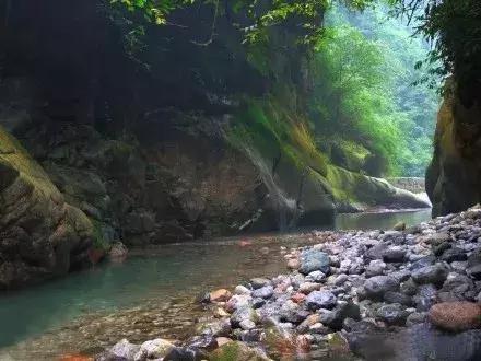 成都秋老虎发威的地方,成都秋老虎最新视频
