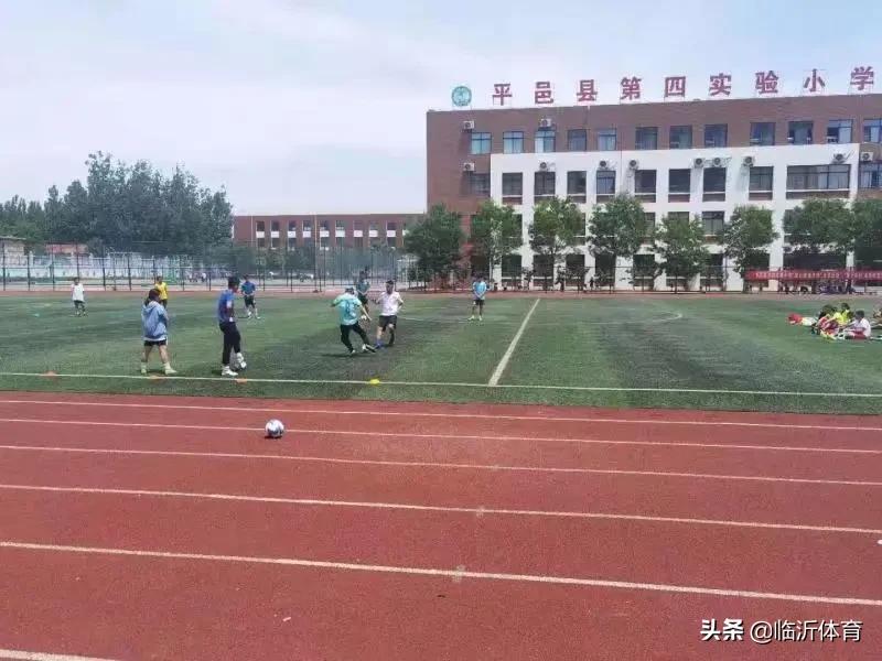 我为群众办实事志愿服务活动,我为群众办实事篮球活动方案