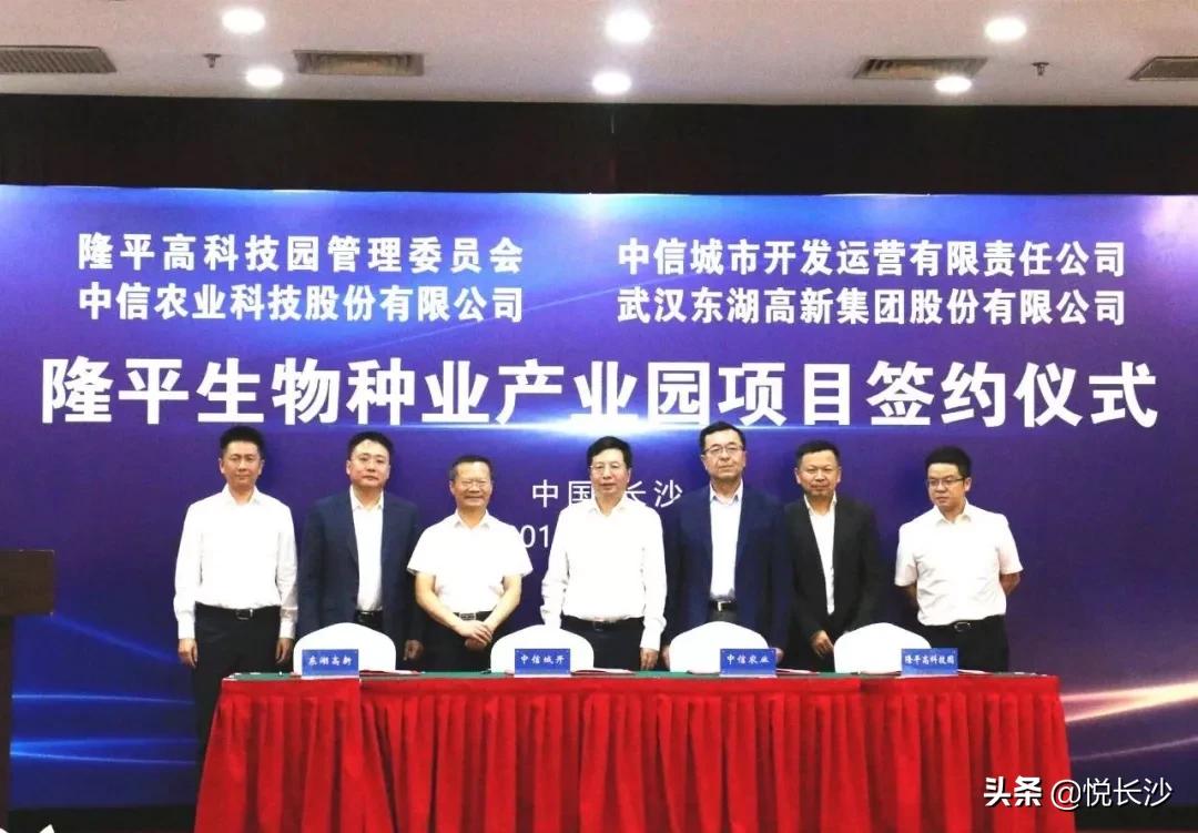 世界五百强企业房地产,世界500强企业开发楼盘