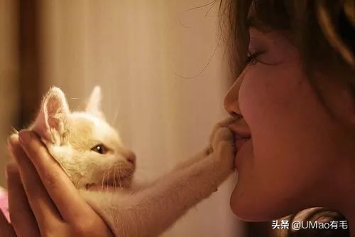 铲屎官别怕猫咪来保护你,猫咪对铲屎官的占有欲