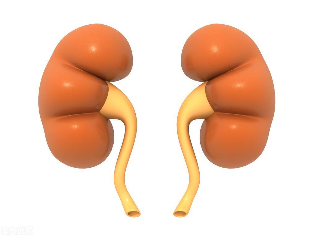 肾癌患者如何做好保健,肾癌切除一个肾怎么护理