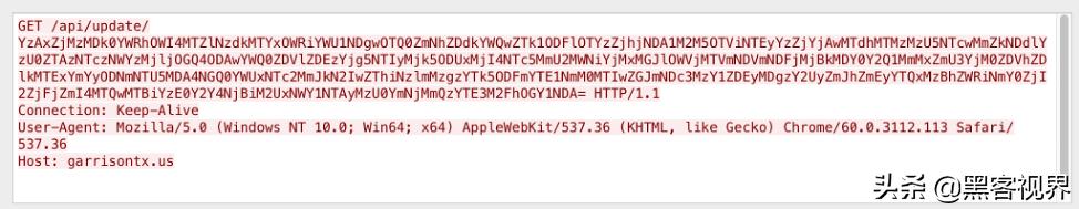 暗网市场再上新货，*载下**型木马病毒“Buer（帕尔）”备受关注