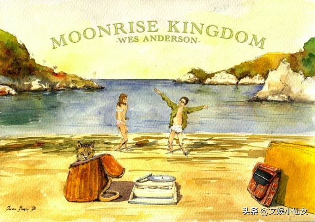 豆瓣8.2《月升王国》,安德森式童话美学,虚拟小岛的梦幻私奔