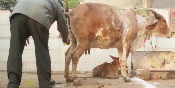 这个国家感染人数可能会破5亿!上千万人或丧命!疫情真正的黑洞