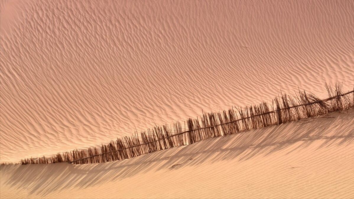 每天入账16亿!抱着印钞机是什么体验?沙特王储:不想卖油了