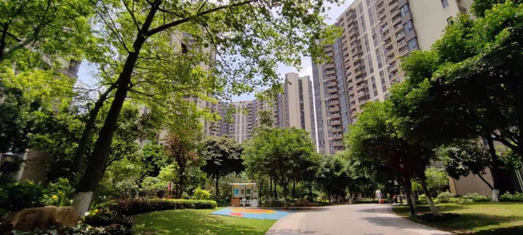 踩盘广州金沙洲,广州金沙洲有哪些新楼盘