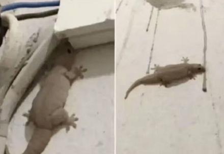 搞笑图片大全二十四张,搞笑图片大全集