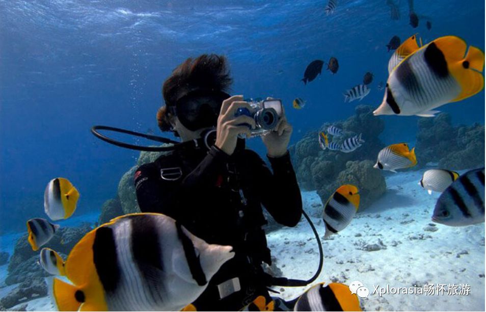 行程攻略|六天五夜不止有美城新山，还有透如玻璃的刁曼岛