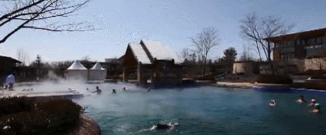 外地游客评价哈尔滨,阜新温泉哪家好