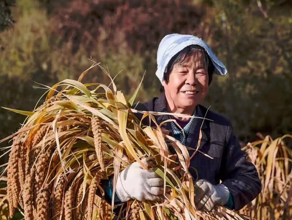 4年！196家门店！井陉人办的事！