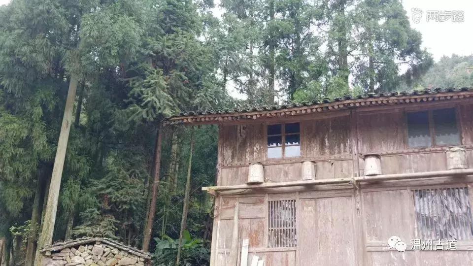 温州茶山红枫古道,浙江温州永嘉红枫古道