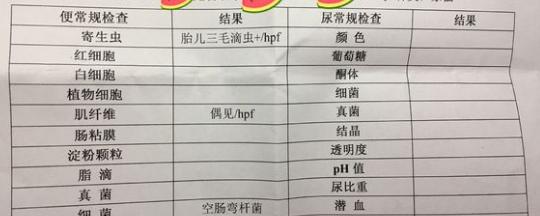 猫咪有三胎毛滴虫,猫咪滴虫拉稀怎么治疗最有效