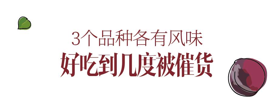 鍙堝ぇ鍙堢敎鐨勬亹榫欒泲鏉庡瓙,鎭愰緳铔嬫潕鍙ｆ劅