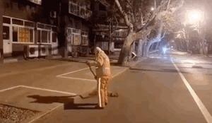 康正汽车超市昆山店：2019，愿生活更美好