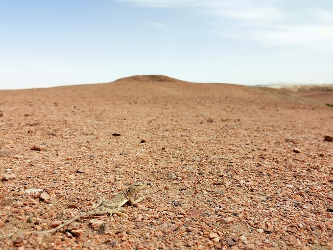 敦煌博物馆东方甄选看世界讲解,敦煌艺术馆游玩攻略