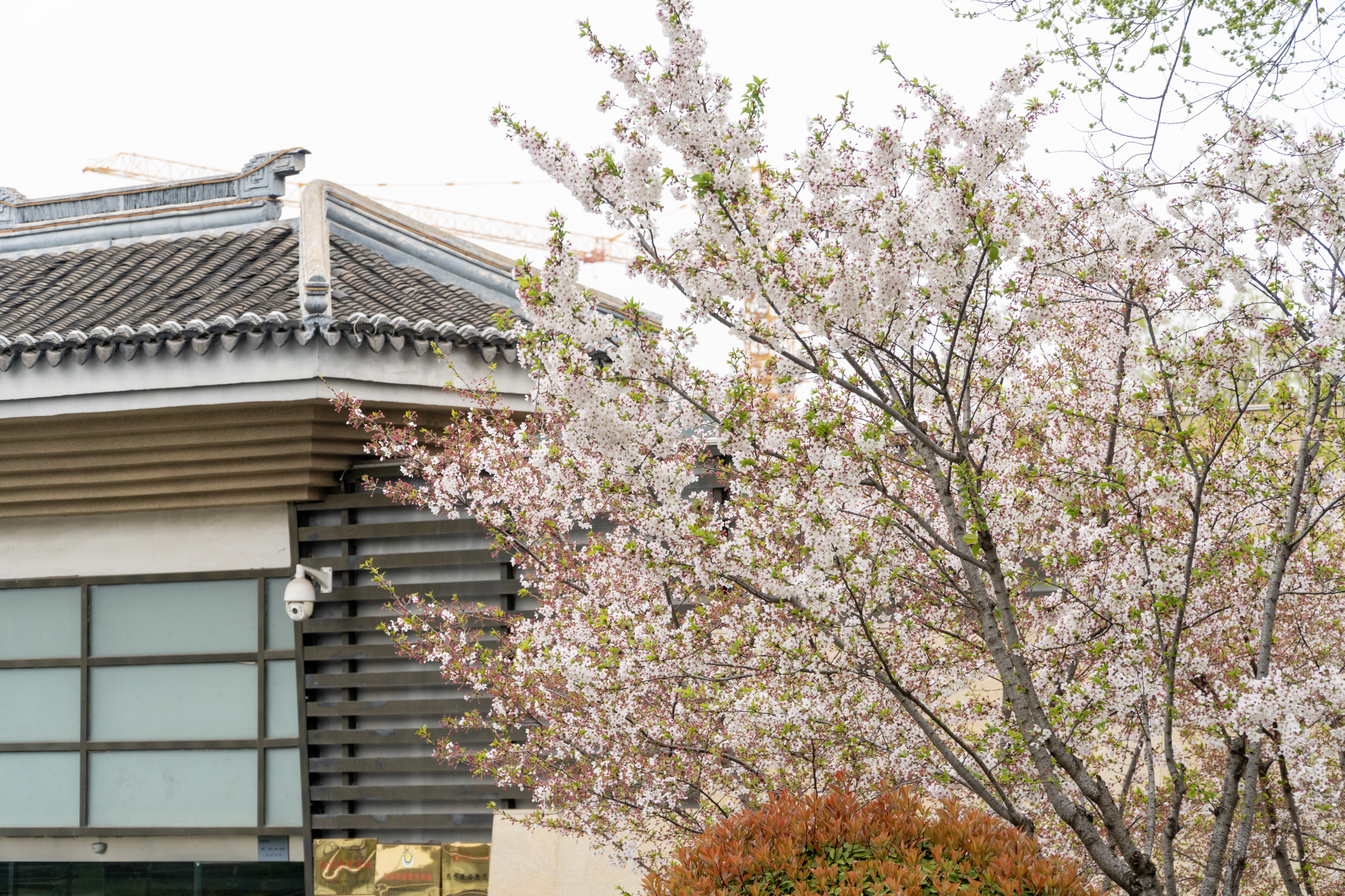 徐州周末郊游的好地方,徐州自然风光好去处