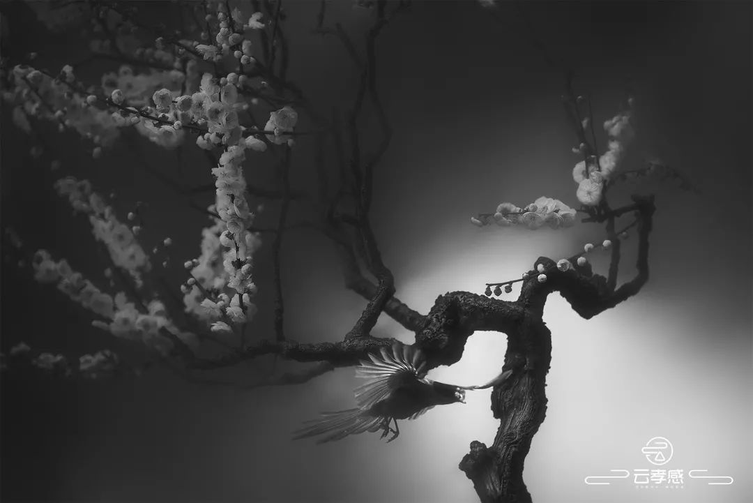 李鸿飞摄影作品初春,李鸿飞画家