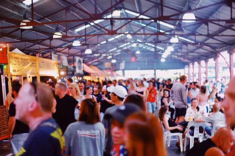 双十一血拼,双十一血拼经历