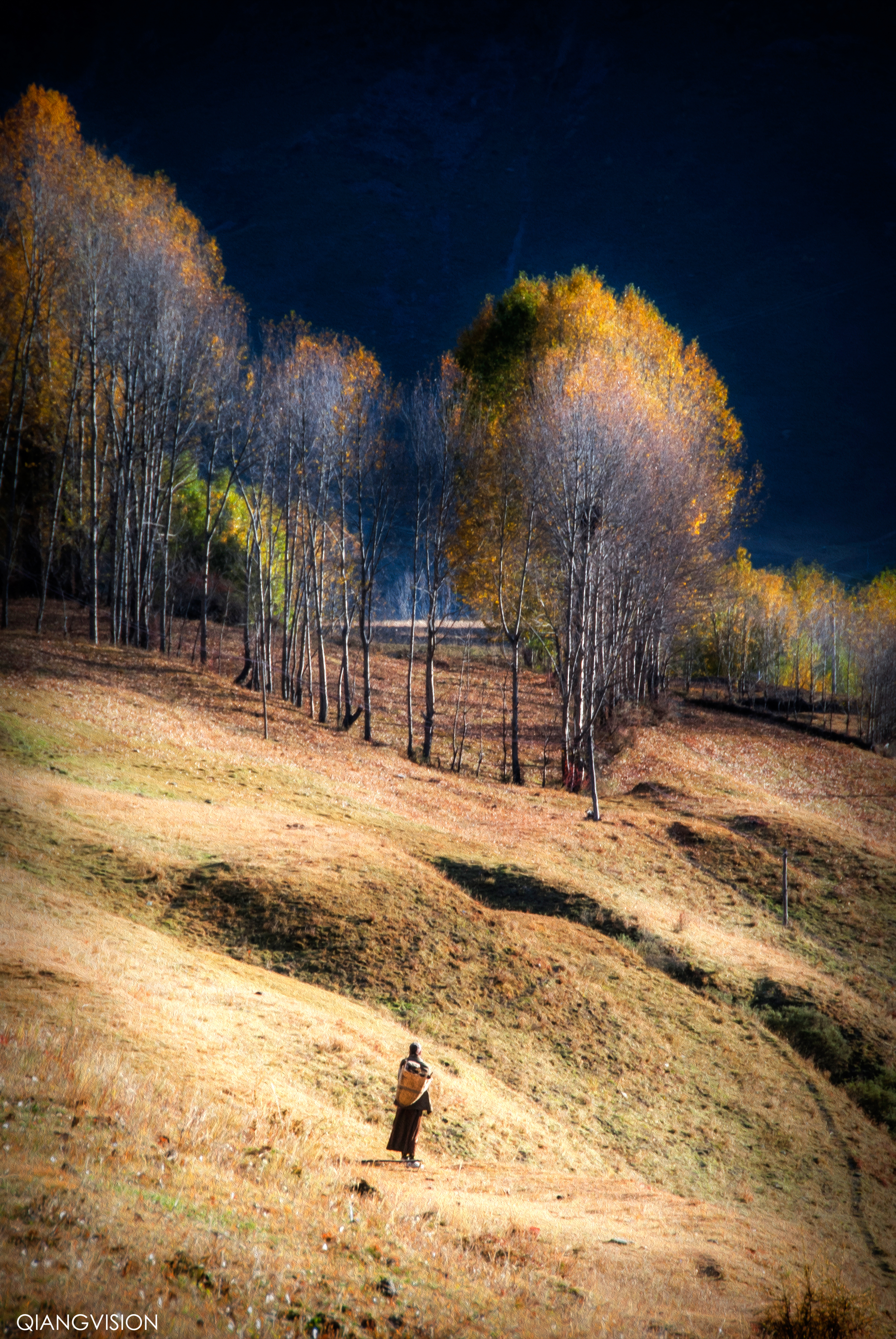 成都周边秋天美到极致的秋色,成都近郊游最美秋色