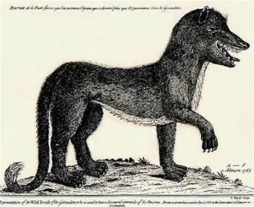 狼人被击中的真实事件,狼人杀人事件