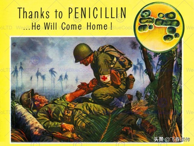 麦克阿瑟怎么死于梅毒的,梅毒将军麦克阿瑟