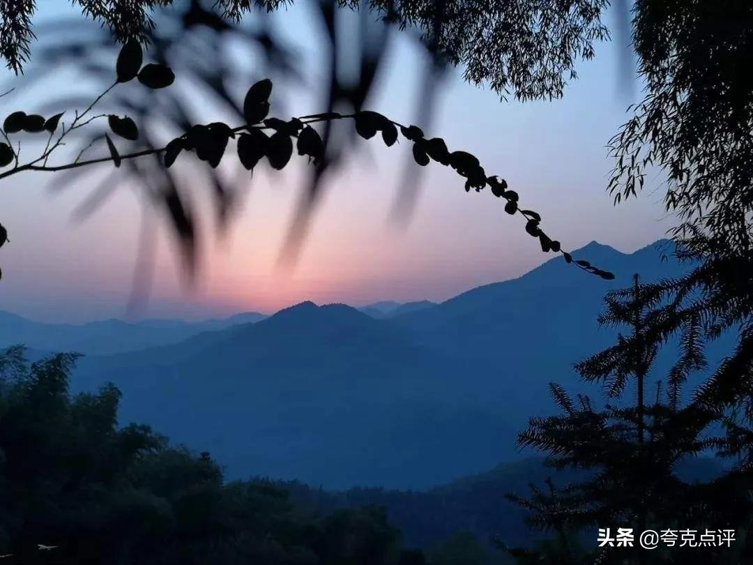 未字属于什么属性,未字有哪些含义