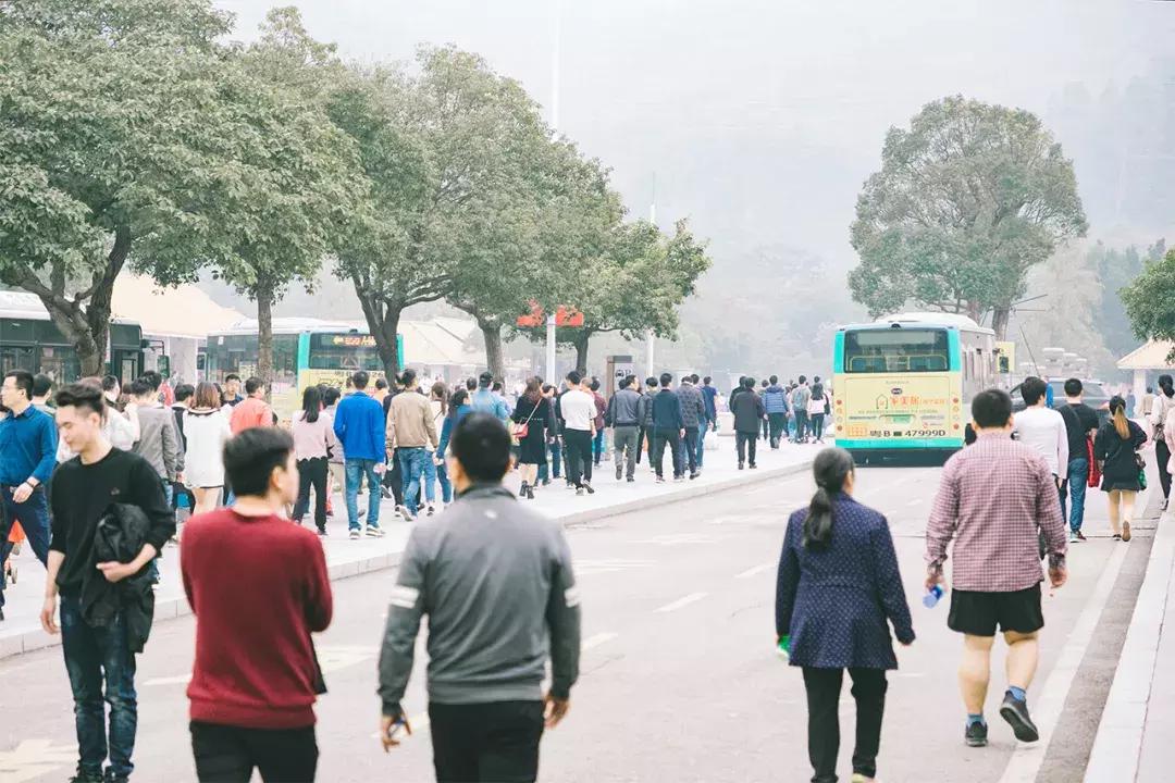 深圳这座城市很美,深圳这座城市风景太美了