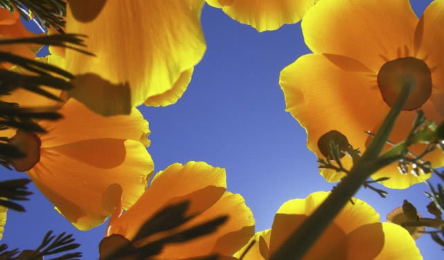 6月财运爆棚的三大生肖,6月时来运转得财得福的三大生肖