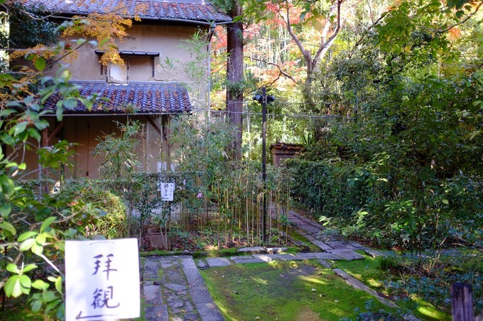 京都赏枫2022,京都赏枫必去景点有哪些好玩的