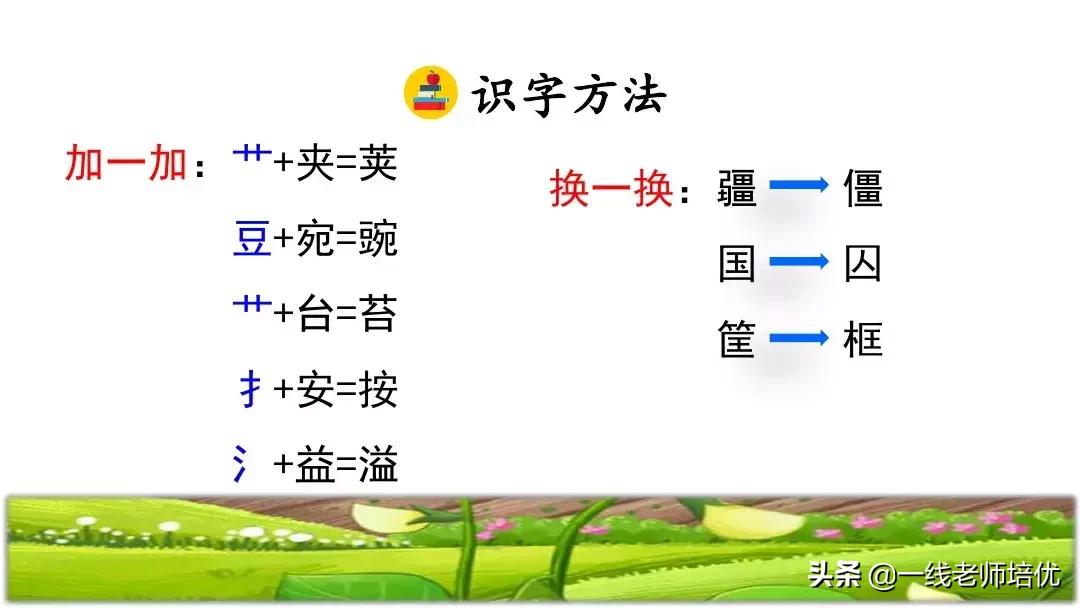 四年级上册豆荚里的五粒豆笔记,一个豆荚里的五粒豆四年级课文