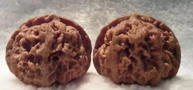 文玩核桃全国产地分布,文玩核桃种植地域