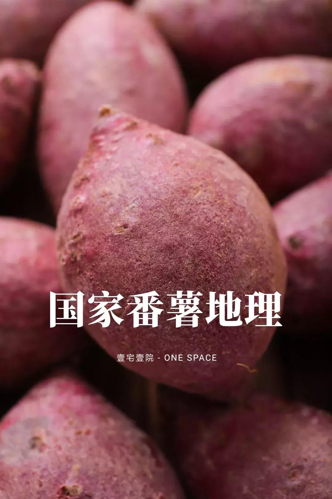 番薯中国原产有哪些品种,番薯原产地