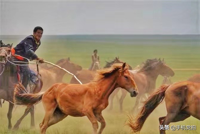 怎么用手机拍出旅游高级感,去哪里旅游能拍民族风写真