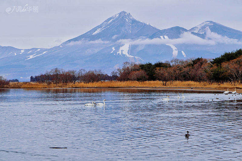 日本东京一日游攻略详细,日本东京五日游最佳路线图