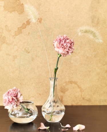 双11必买大牌好物,双11必买的小件