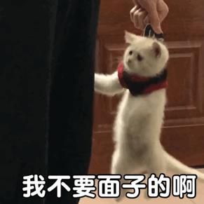 liù安还是lù安？疫情新闻下，网友上起了语文课？