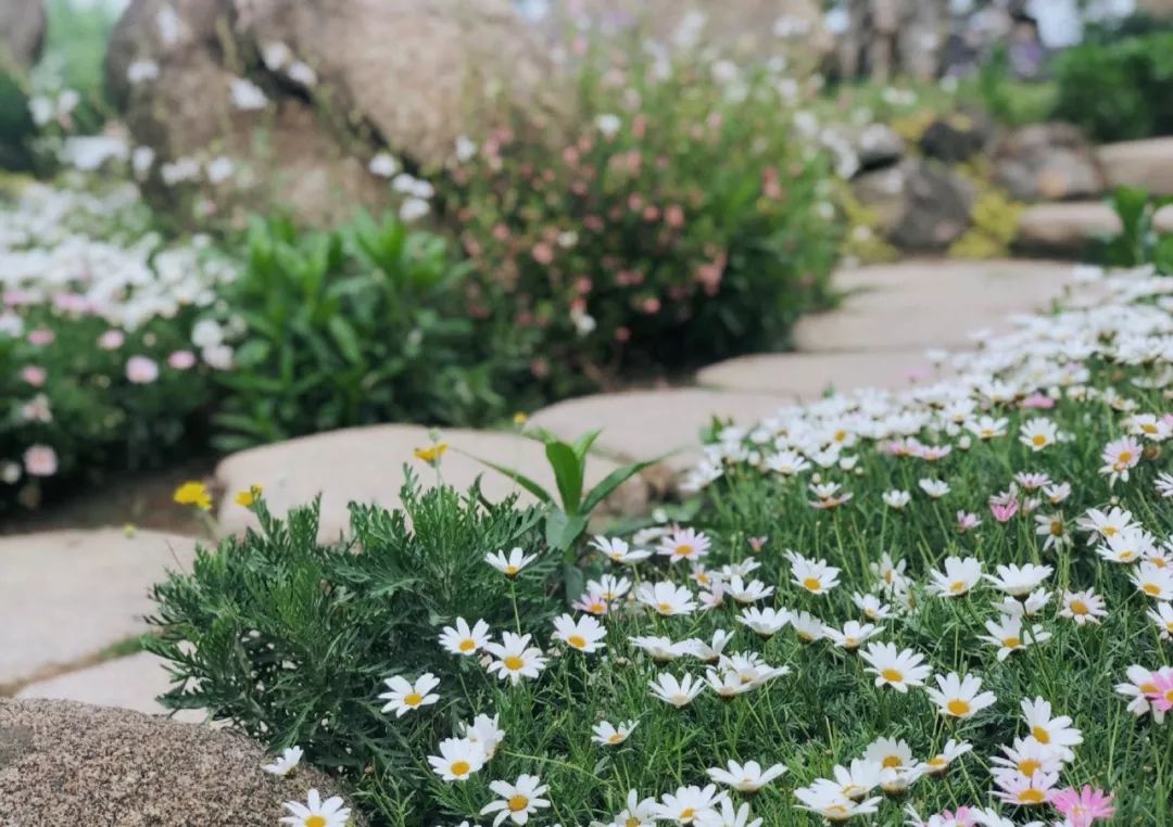 公关品牌形象的作用是什么,品牌公关主要做什么工作内容