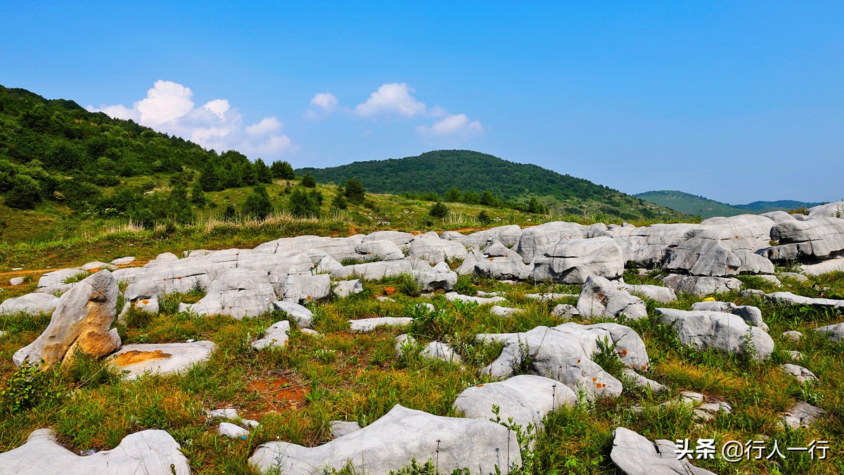 华北最大的亚高山草甸圣王坪,华北最大的亚高山草甸