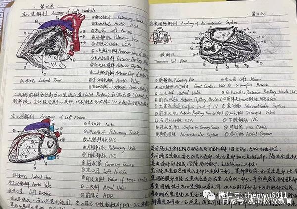 从复旦到川大，四所医科大学的学生课堂笔记：医学生有多不容易？