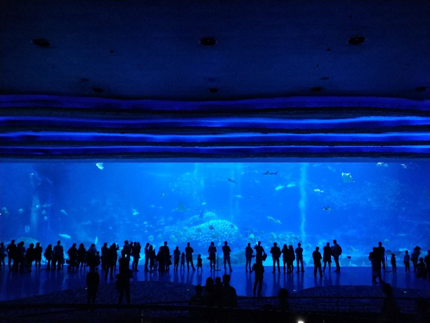 招商蛇口邮轮母港坐船去珠海长隆,广州长隆到珠海长隆可以坐邮轮吗