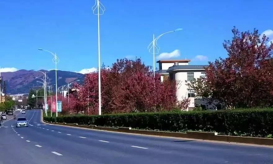 蓝花楹昆明网红打卡地在哪里,昆明周边湿地公园网红打卡地