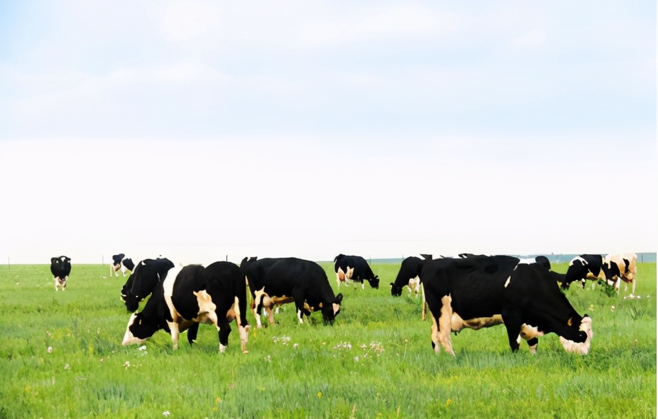 跻身国产奶粉排行榜10强的太子乐奶粉，凭借多方优势稳居C位