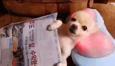 10件精致女人必备神器,精致女孩夏日必备神器