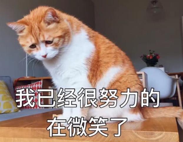 吾行说车,吾行养车小知识