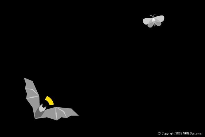 声呐故障判断,声呐有问题怎么解决